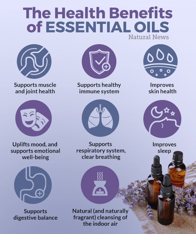 Why You Need Essential Oils In Your Household For The Fall And Winter Season